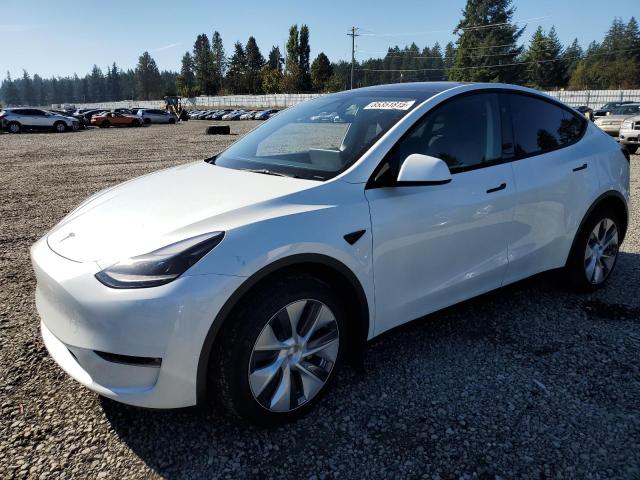 2024 TESLA MODEL Y, 