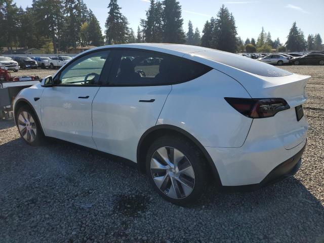 7SAYGDEE3RF043789 - 2024 TESLA MODEL Y Ağ foto 2