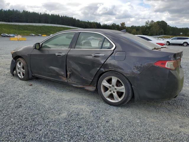 JH4CU26689C027840 - 2009 ACURA TSX GRAY photo 2