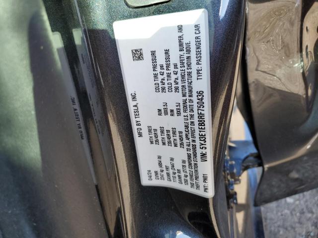 5YJ3E1EB8RF750436 - 2024 TESLA MODEL 3 Boz foto 12