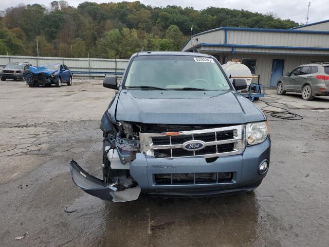 1FMCU9D73BKA20582 - 2011 FORD ESCAPE XLT ტალღისფერი ფოტო 5