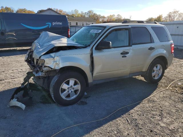 2012 FORD ESCAPE XLT, 