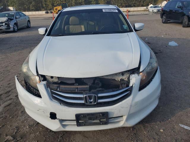1HGCP2F85BA101258 - 2011 HONDA ACCORD EXL WHITE photo 5