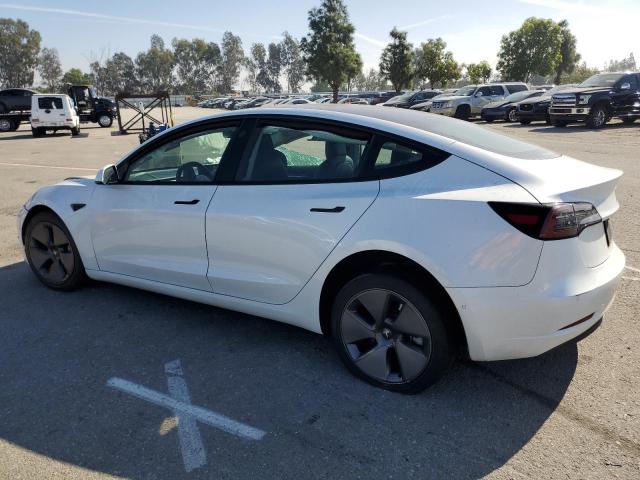 5YJ3E1EA6MF996529 - 2021 TESLA MODEL 3 WHITE photo 2
