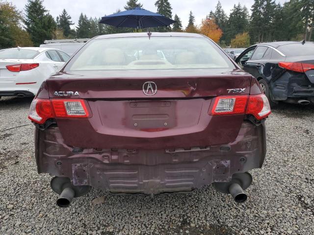 JH4CU2F66AC031423 - 2010 ACURA TSX Բորդո լուսանկար 6