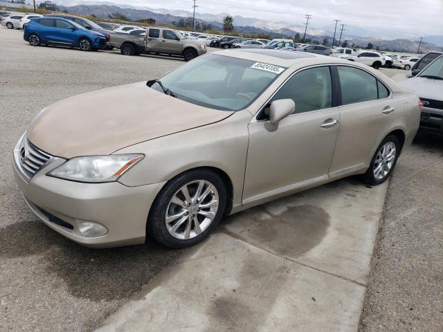 2010 LEXUS ES 350, 