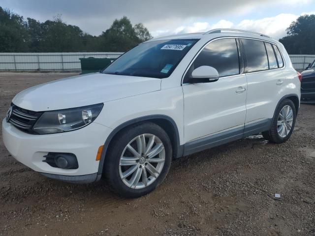 2013 VOLKSWAGEN TIGUAN S, 