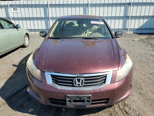 JHMCP26438C056246 - 2008 HONDA ACCORD LXP 栗色 照片 5