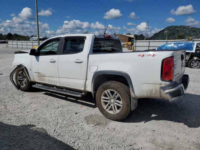 1GCGTBEN9K1293044 - 2019 CHEVROLET COLORADO Ağ foto 2
