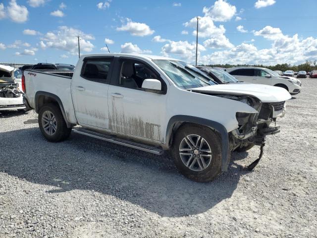 1GCGTBEN9K1293044 - 2019 CHEVROLET COLORADO Ağ foto 4