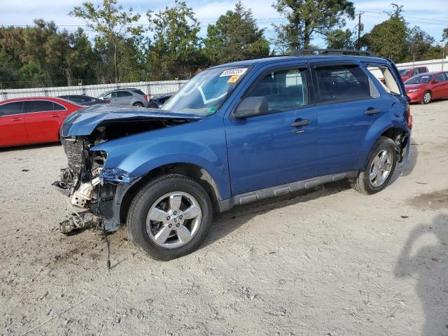 2009 FORD ESCAPE XLT, 