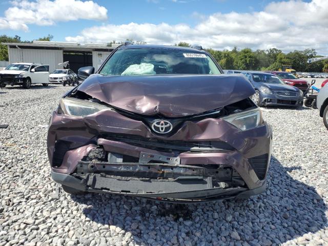 2T3BFREV4GW426666 - 2016 TOYOTA RAV4 LE PURPLE photo 5