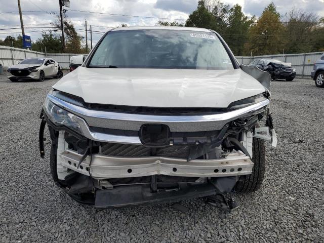 5FNYF6H51KB011114 - 2019 HONDA PILOT EXL أبيض صورة 5