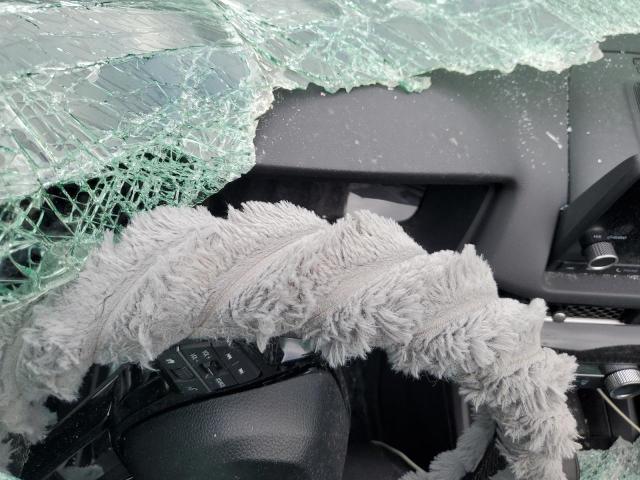 2HGFE2F59SH592024 - 2025 HONDA CIVIC SPORT ნაცრისფერი ფოტო 9