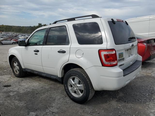 1FMCU9D73BKB74256 - 2011 FORD ESCAPE XLT Blanco foto 2