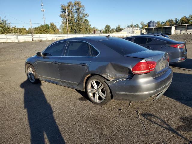 1VWCN7A39DC067391 - 2013 VOLKSWAGEN PASSAT SEL Boz foto 2