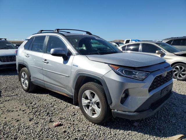 2T3RWRFV2LW057636 - 2020 TOYOTA RAV4 XLE SILVER photo 7