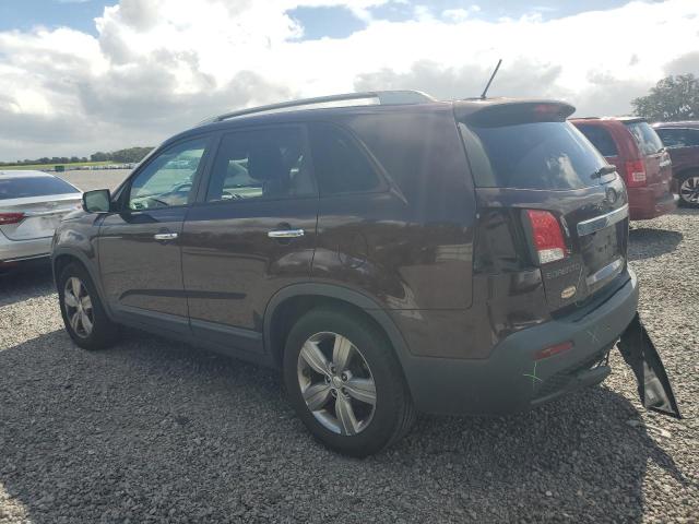 5XYKU4A67DG404534 - 2013 KIA SORENTO EX 勃艮第红 照片 2