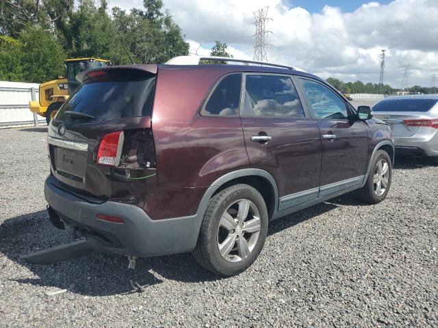 5XYKU4A67DG404534 - 2013 KIA SORENTO EX 勃艮第红 照片 3