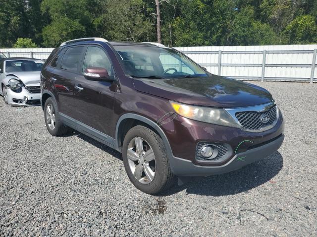 5XYKU4A67DG404534 - 2013 KIA SORENTO EX 勃艮第红 照片 4