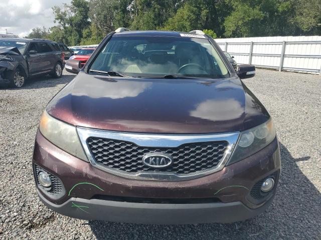 5XYKU4A67DG404534 - 2013 KIA SORENTO EX 勃艮第红 照片 5