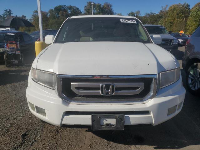 5FPYK16549B107984 - 2009 HONDA RIDGELINE RTL Ağ foto 5