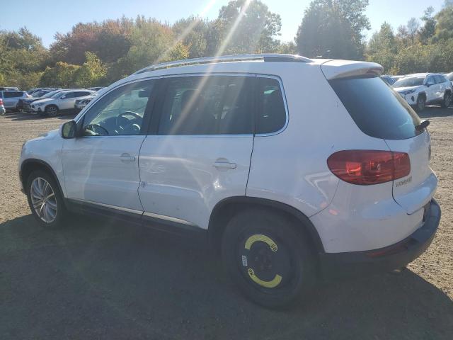 WVGBV7AX8DW549720 - 2013 VOLKSWAGEN TIGUAN S WHITE photo 2