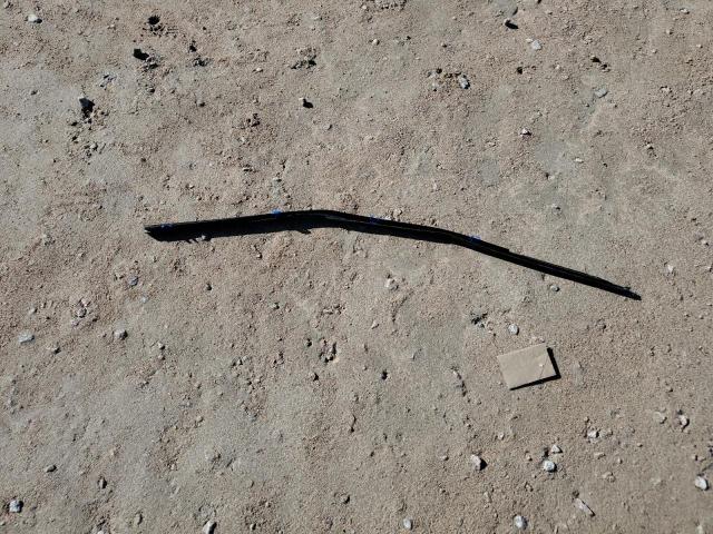 2HGFB2F97DH520818 - 2013 HONDA CIVIC EXL Boz foto 12