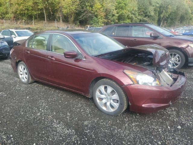 1HGCP26858A076838 - 2008 HONDA ACCORD EXL 栗色 照片 4