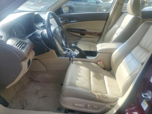 1HGCP26858A076838 - 2008 HONDA ACCORD EXL 栗色 照片 7