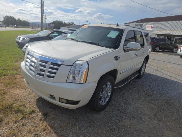 1GYEC638X8R116485 - 2008 CADILLAC ESCALADE LUXURY Beyaz fotoğraf 2