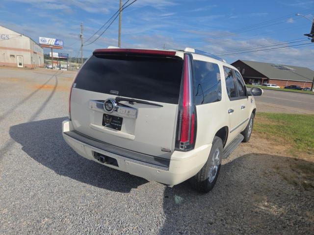 1GYEC638X8R116485 - 2008 CADILLAC ESCALADE LUXURY Beyaz fotoğraf 4