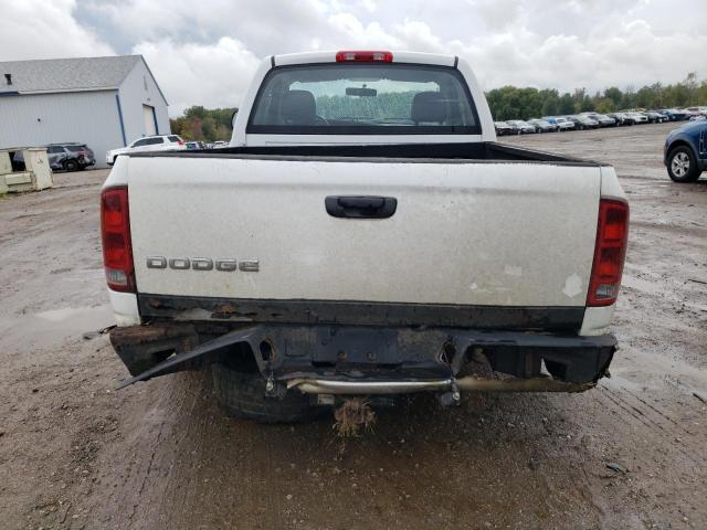 1D7HA16K94J243004 - 2004 DODGE RAM 1500 ST 白色 照片 6