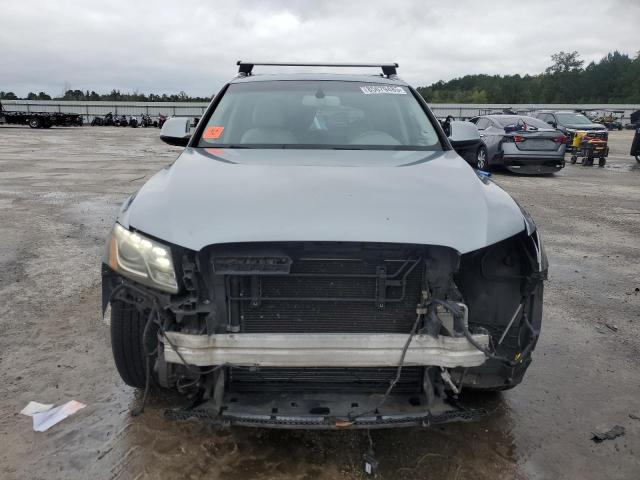 WA1LKAFP9AA077036 - 2010 AUDI Q5 PREMIUM PLUS 银色 照片 5