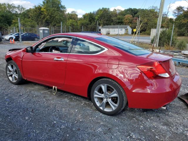 1HGCS2B80BA004618 - 2011 HONDA ACCORD EXL RED photo 2