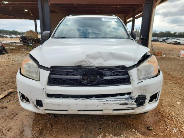 2T3BF4DVXCW201327 - 2012 TOYOTA RAV4 WHITE photo 5