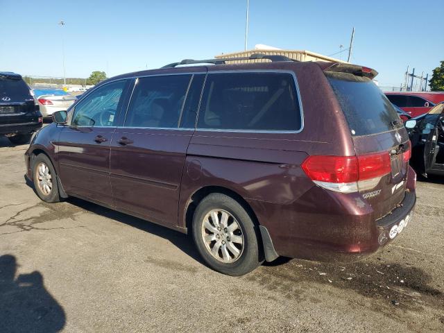 5FNRL386X8B419351 - 2008 HONDA ODYSSEY EXL MAROON photo 2