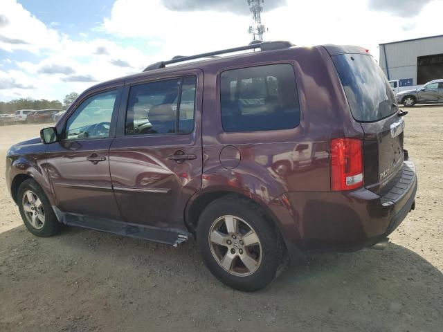 5FNYF48619B010634 - 2009 HONDA PILOT EXL Բորդո լուսանկար 2