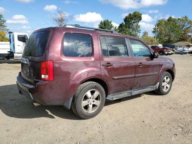 5FNYF48619B010634 - 2009 HONDA PILOT EXL Բորդո լուսանկար 3