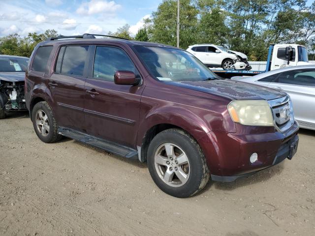 5FNYF48619B010634 - 2009 HONDA PILOT EXL Բորդո լուսանկար 4