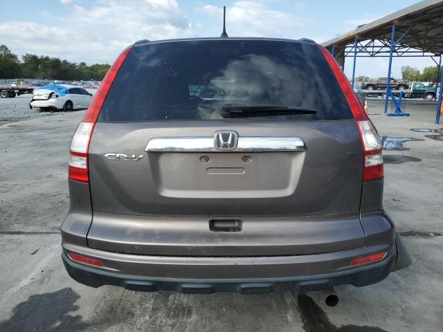 3CZRE3H56AG703460 - 2010 HONDA CR-V EX BROWN photo 6