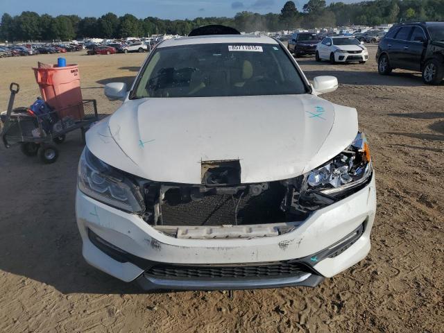 1HGCR2F83GA045418 - 2016 HONDA ACCORD EXL თეთრი ფოტო 5