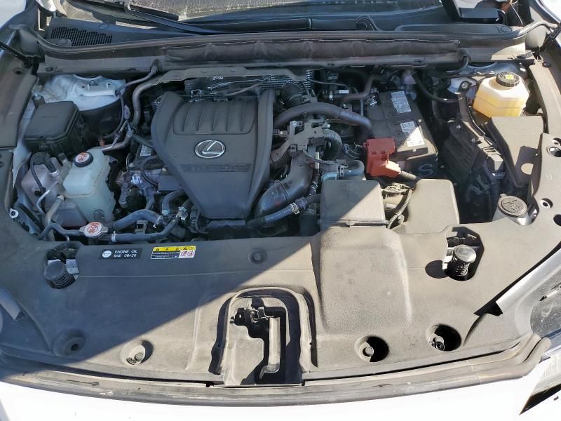 2T2BAMCAXRC054177 - 2024 LEXUS RX 350 BASE Սպիտակ լուսանկար 12