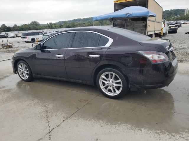 1N4AA5APXEC459297 - 2014 NISSAN MAXIMA S Qara foto 2