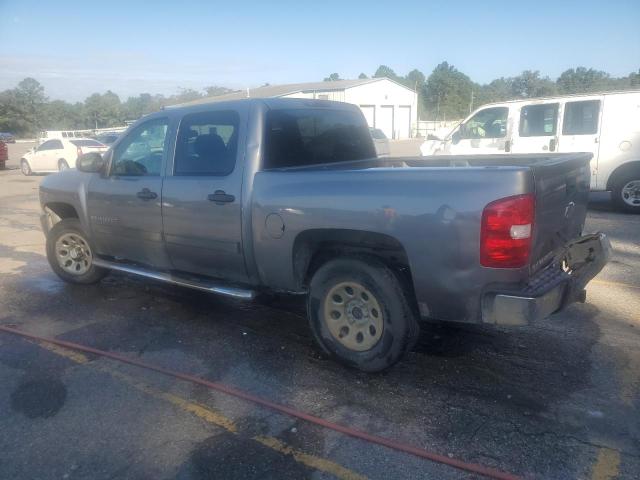 3GCEC13C49G146516 - 2009 CHEVROLET SILVERADO C1500 Silber Foto 2
