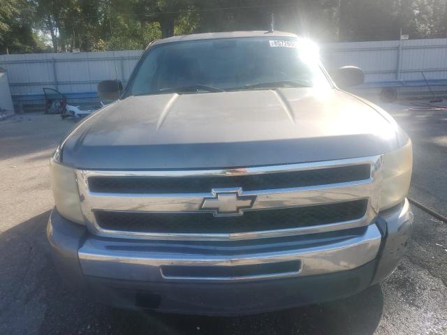 3GCEC13C49G146516 - 2009 CHEVROLET SILVERADO C1500 Silber Foto 5