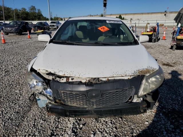 1NXBU4EE2AZ362586 - 2010 TOYOTA COROLLA BASE 白色 照片 5
