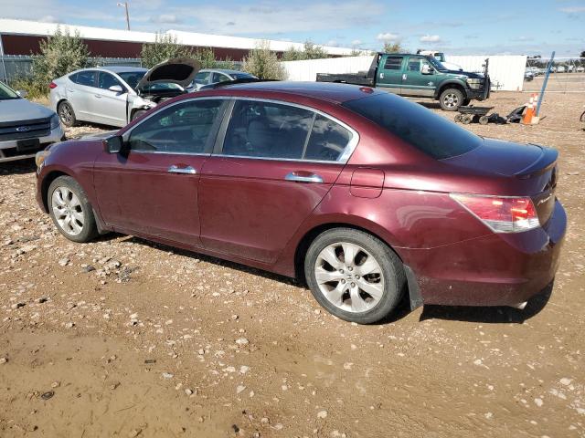 1HGCP36869A013187 - 2009 HONDA ACCORD EXL მუქწითელი ფოტო 2