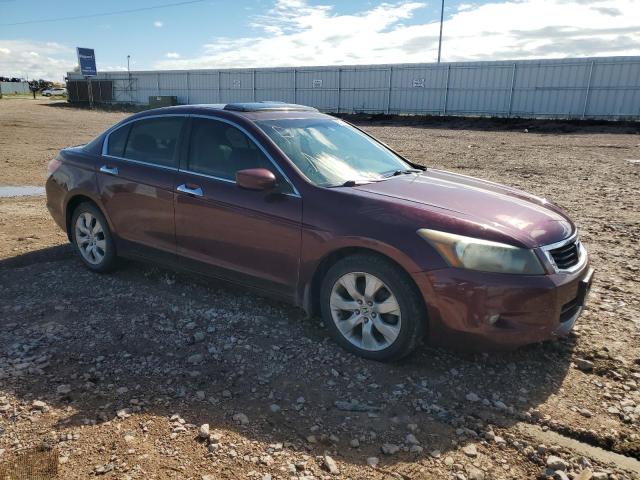 1HGCP36869A013187 - 2009 HONDA ACCORD EXL მუქწითელი ფოტო 4