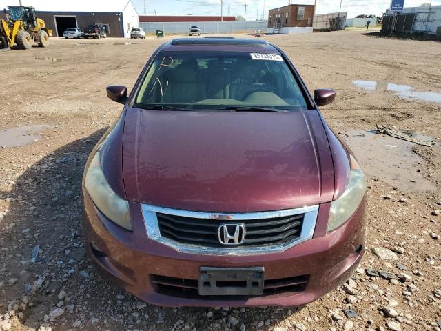 1HGCP36869A013187 - 2009 HONDA ACCORD EXL მუქწითელი ფოტო 5